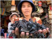 Bóng hồng 