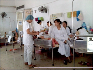 Những ca bầu bí 