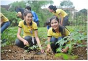 Sao Việt và những tai tiếng ầm ĩ trong chuyện từ thiện