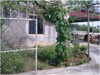 Cuộc sống sau phiên tòa của