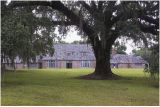 Dân Việt Nam bỏ 500 triệu để sang Anh trồng cần sa_0