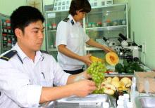 ảnh bài Kiểm tra hai lượt, hoa quả Trung Quốc vẫn an toàn - 0