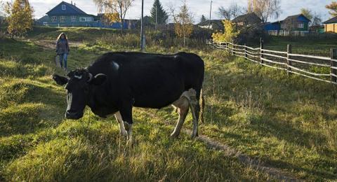 Israel giúp Nga giáng đòn vào châu Âu - 0 Israel giúp Nga giáng đòn vào châu Âu - 0