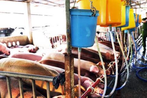 “Giết người” bị phạt hành chính, dân ung thư trách ai? - 0 “Giết người” bị phạt hành chính, dân ung thư trách ai? - 0