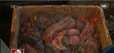 Kinh hãi hành trình mỡ trộn phân, hóa chất... lên bàn ăn - 2 Kinh hãi hành trình mỡ trộn phân, hóa chất... lên bàn ăn - 2