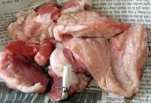 Rùng mình với điểm đến của lợn bệnh, lợn chết - 1 Rùng mình với điểm đến của lợn bệnh, lợn chết - 1
