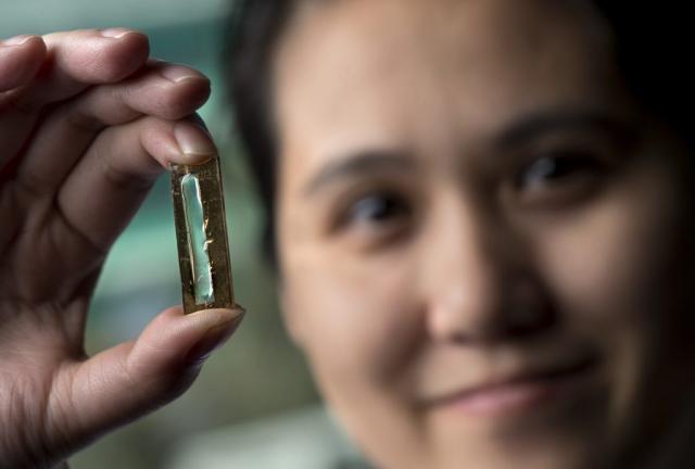 Nữ nghiên cứu sinh gốc Việt phát minh ra pin lithium trọn đời - 1 Nữ nghiên cứu sinh gốc Việt phát minh ra pin lithium trọn đời - 1