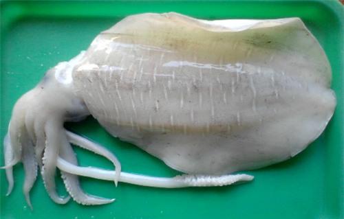 Những vụ “chặt chém” tai tiếng nhất tại các điểm du lịch mùa nghỉ lễ - 3 Những vụ “chặt chém” tai tiếng nhất tại các điểm du lịch mùa nghỉ lễ - 3