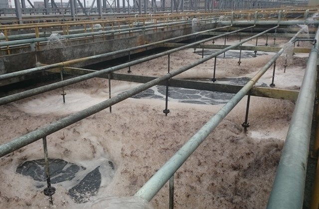 Chia sẻ rùng mình về Formosa của cán bộ từng làm ở Bộ Tài nguyên Môi trường - 2 Chia sẻ rùng mình về Formosa của cán bộ từng làm ở Bộ Tài nguyên Môi trường - 2