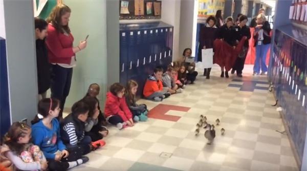 Bài học không-thể-thiếu của trẻ mầm non ở Mỹ, Nhật - 1 Bài học không-thể-thiếu của trẻ mầm non ở Mỹ, Nhật - 1