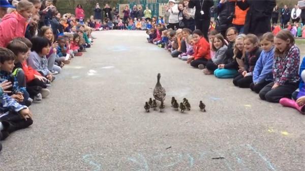 Bài học không-thể-thiếu của trẻ mầm non ở Mỹ, Nhật - 2 Bài học không-thể-thiếu của trẻ mầm non ở Mỹ, Nhật - 2