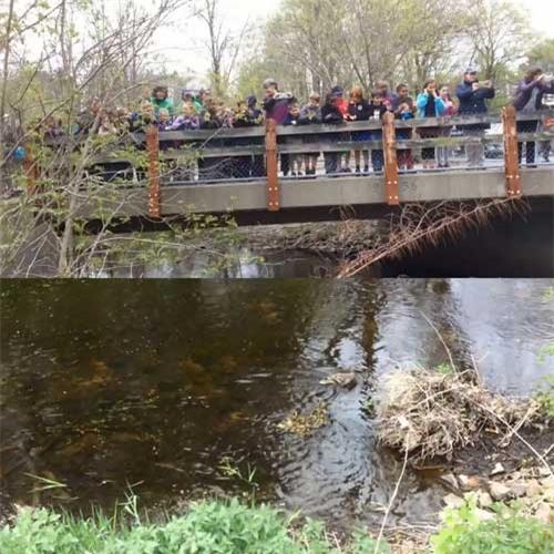 Bài học không-thể-thiếu của trẻ mầm non ở Mỹ, Nhật - 3 Bài học không-thể-thiếu của trẻ mầm non ở Mỹ, Nhật - 3