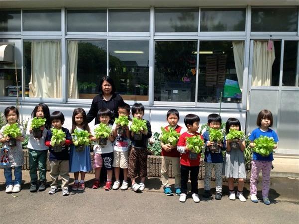 Bài học không-thể-thiếu của trẻ mầm non ở Mỹ, Nhật - 4 Bài học không-thể-thiếu của trẻ mầm non ở Mỹ, Nhật - 4