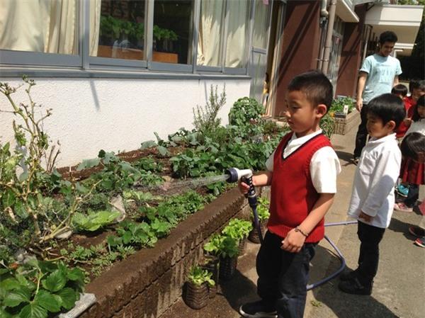 Bài học không-thể-thiếu của trẻ mầm non ở Mỹ, Nhật - 6 Bài học không-thể-thiếu của trẻ mầm non ở Mỹ, Nhật - 6