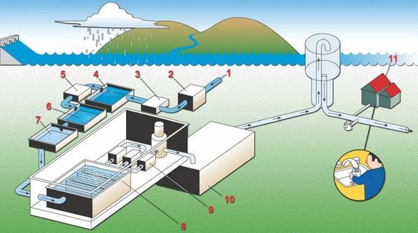 Nước lã ở Tây sạch đến mức độ nào? - 1