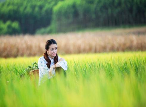 Lọ tro cốt chứa một kiếp hồng nhan: Duyên phận ở trời Tây - 0 Lọ tro cốt chứa một kiếp hồng nhan: Duyên phận ở trời Tây - 0