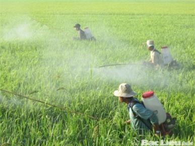 Mỗi ngày 20 tỷ thuốc trừ sâu Trung Quốc: Việt Nam tự đầu độc mình - 0 Mỗi ngày 20 tỷ thuốc trừ sâu Trung Quốc: Việt Nam tự đầu độc mình - 0