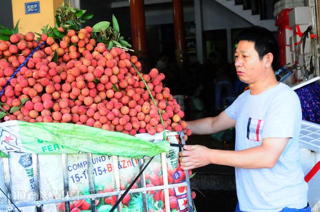 Thương lái Trung Quốc tràn ngập chợ vải thiều, ép giá nông dân - 0 Thương lái Trung Quốc tràn ngập chợ vải thiều, ép giá nông dân - 0