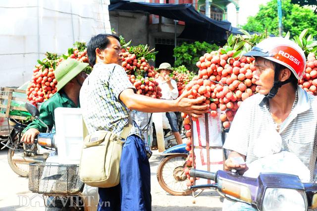 Thương lái Trung Quốc tràn ngập chợ vải thiều, ép giá nông dân - 1 Thương lái Trung Quốc tràn ngập chợ vải thiều, ép giá nông dân - 1