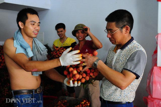 Thương lái Trung Quốc tràn ngập chợ vải thiều, ép giá nông dân - 6 Thương lái Trung Quốc tràn ngập chợ vải thiều, ép giá nông dân - 6