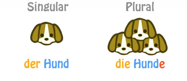 C&aacute;ch sử dụng số &iacute;t-số nhiều của Danh từ trong tiếng Đức - 0