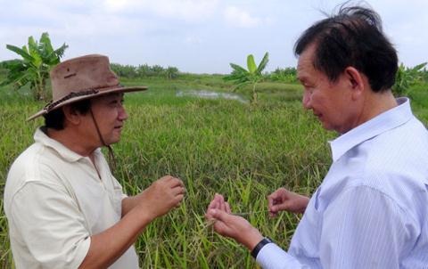 Gạo Việt Nam thua đau Myanmar: Sao không chịu... bán đắt? - 0