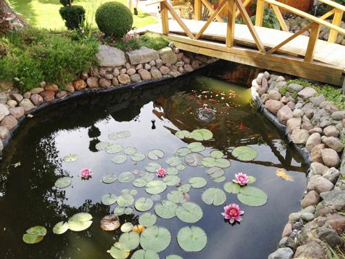 Thiên đường hoa của một Phụ nữ Việt trên nước Đức - 15 Thiên đường hoa của một Phụ nữ Việt trên nước Đức - 15