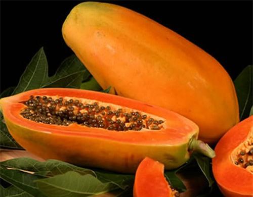 Tuy rất tốt nhưng nếu bạn thuộc nhóm đối tượng sau không nên ăn đu đủ - 0 Tuy rất tốt nhưng nếu bạn thuộc nhóm đối tượng sau không nên ăn đu đủ - 0