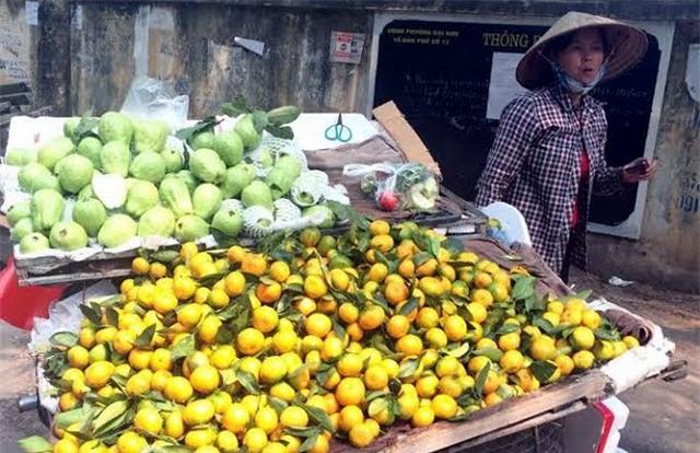 Tám loại hoa quả Trung Quốc nhập về Việt Nam nhiều nhất - 5