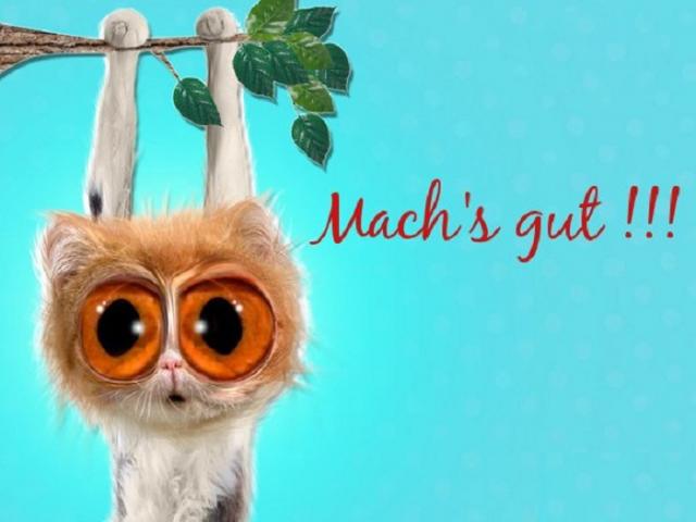 10 Câu - Từ lóng tiếng Đức mà bạn không bao giờ được dạy trong lớp học - 9 10 Câu - Từ lóng tiếng Đức mà bạn không bao giờ được dạy trong lớp học - 9