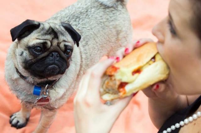 Những điều tuyệt đối mà Bạn không được làm ở Đức - 2 Những điều tuyệt đối mà Bạn không được làm ở Đức - 2