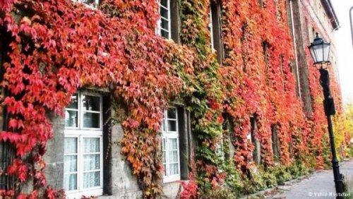 Đẹp nao lòng Mùa thu nước Đức - 2 Đẹp nao lòng Mùa thu nước Đức - 2