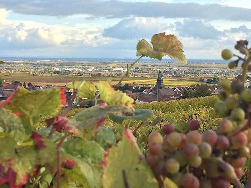 Nhà ông nội của Donald Trump ở Kallstadt, Đức đang rao bán - 1 Nhà ông nội của Donald Trump ở Kallstadt, Đức đang rao bán - 1