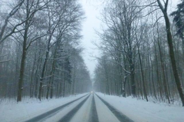 Nước Đức một màu trắng xóa - 10