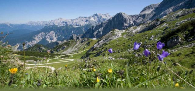 Thị trấn đẹp nên thơ nhất nước Đức - 1 Thị trấn đẹp nên thơ nhất nước Đức - 1