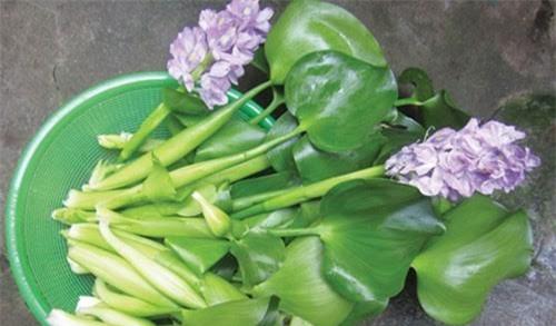 Nhà giàu ăn dị: Tóp mỡ xào bèo tây, sâu tre rang cháy cạnh - 2 Nhà giàu ăn dị: Tóp mỡ xào bèo tây, sâu tre rang cháy cạnh - 2