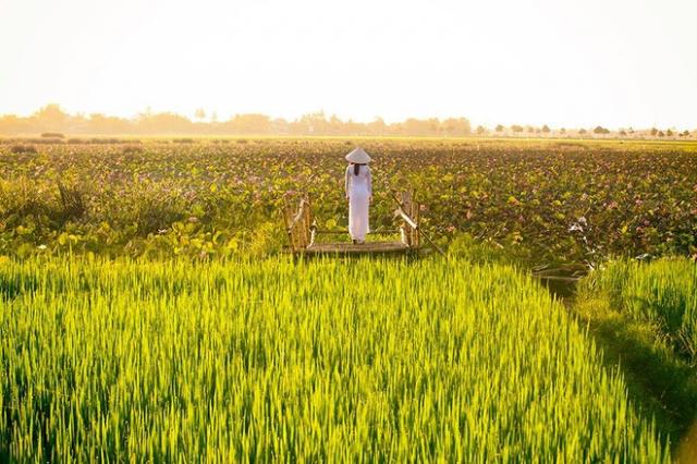 Trang phục Đẹp nhất Việt Nam tr&ecirc;n B&aacute;o nước ngo&agrave;i - 5