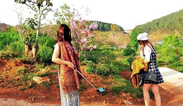 Nữ du khách phá hoại mai anh đào khiến người Đà Lạt giận dữ - 0 Nữ du khách phá hoại mai anh đào khiến người Đà Lạt giận dữ - 0