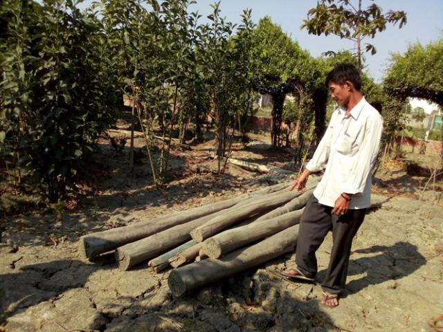 Dựng một chuồng gà bị khởi tố, xây 40 biệt thự chỉ phạt tiền - 1