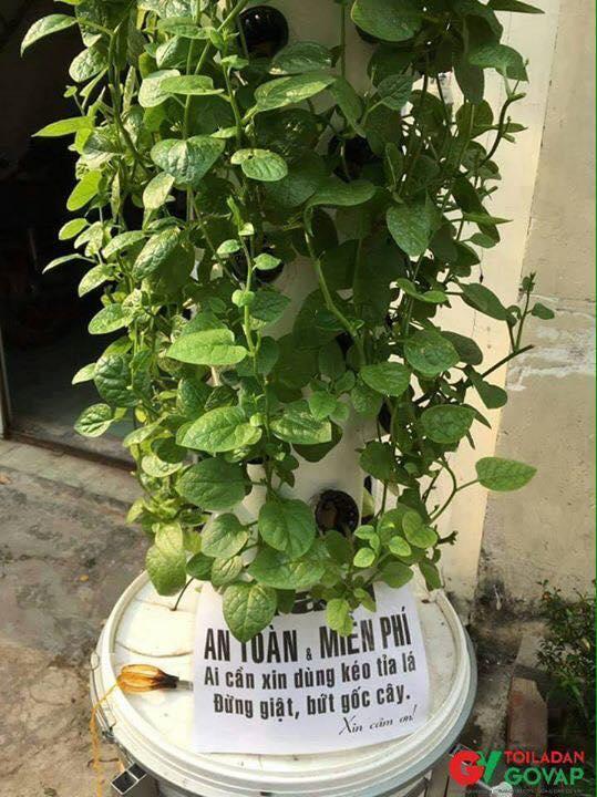 Sự Tử tế kh&ocirc;ng kh&oacute; t&igrave;m giữa đường phố S&agrave;i G&ograve;n - 1