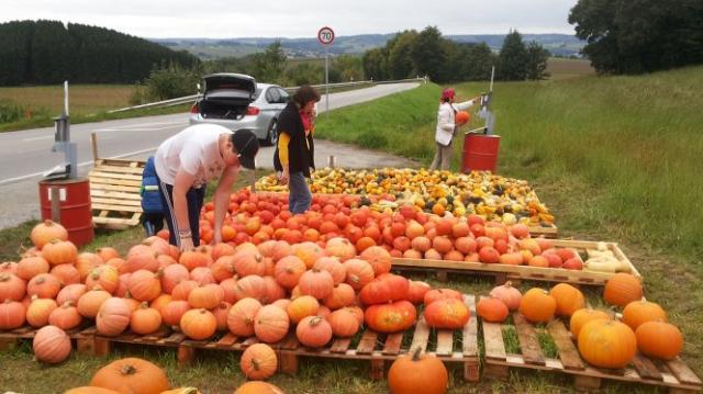 Lòng trung thực ở nước Đức: Những câu chuyện trong cuộc sống thường ngày - 1 Lòng trung thực ở nước Đức: Những câu chuyện trong cuộc sống thường ngày - 1