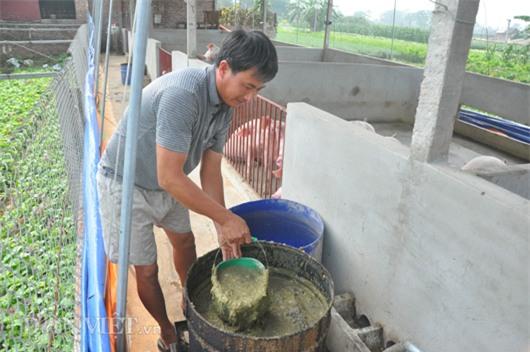 Gi&aacute; lợn c&ograve;n 15.000 đồng/kg: D&acirc;n kh&oacute;c bỏ đ&oacute;i lợn, cả x&atilde; như c&oacute; tang - 5