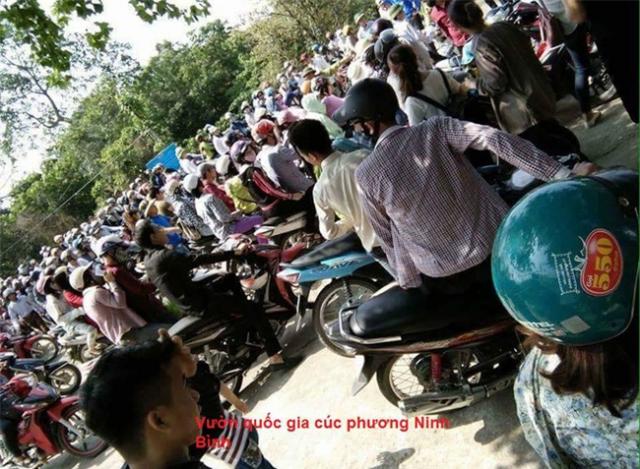 10 h&igrave;nh ảnh g&acirc;y sửng sốt dịp nghỉ lễ vừa qua ở Việt Nam - 9