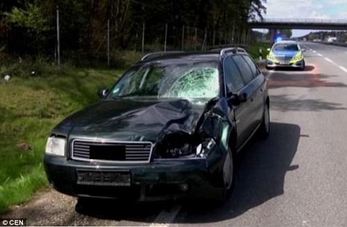 Hamburg: Tự sướng giữa Autobahn ở Đức, tai nạn đáng tiếc xảy ra - 0 Hamburg: Tự sướng giữa Autobahn ở Đức, tai nạn đáng tiếc xảy ra - 0