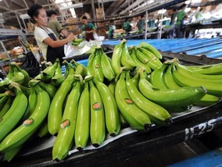 13 c&ocirc;ng ty nước ngo&agrave;i lọt DANH S&Aacute;CH ĐEN v&igrave; chuy&ecirc;n lừa doanh nghiệp Việt - 1