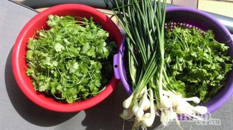 Vườn địa đàng đẹp như mơ chẳng thiếu cây gì của ông bố Việt ở Đức - 8 Vườn địa đàng đẹp như mơ chẳng thiếu cây gì của ông bố Việt ở Đức - 8