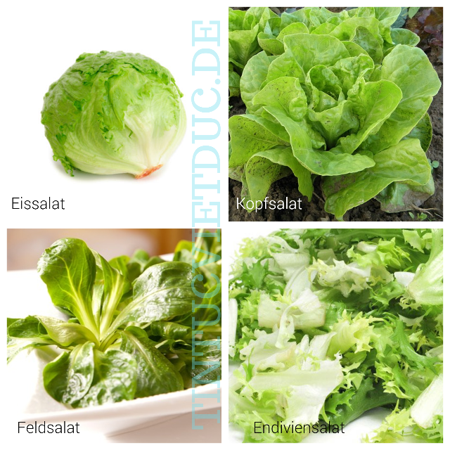 rau qua bang tieng duc 6