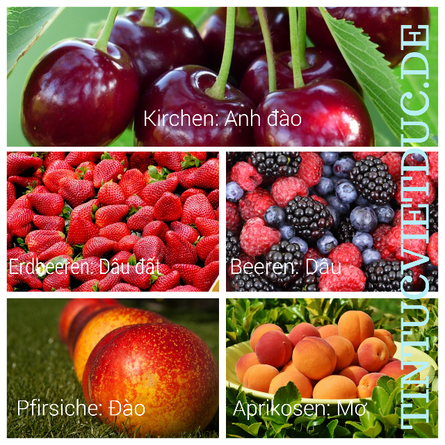 rau qua bang tieng duc