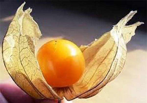 Quả dại ở Việt Nam bán giá trong các siêu thị Đức - 0 Quả dại ở Việt Nam bán giá trong các siêu thị Đức - 0