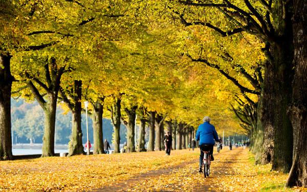 20170819 03 53 18 01